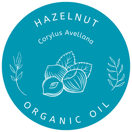 Organic Hazelnut Oil Corylus Avellana in Miron Violet Glass Premium Quality Oil Glass Dropper Bottled by Hand Food Grade Hazel Nut Oil