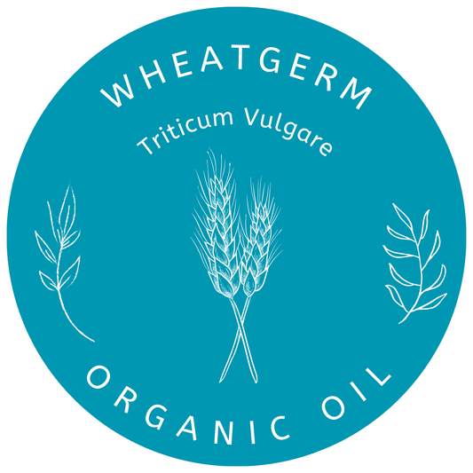 Organic Wheatgerm Oil (Triticum Vulgare) in Miron Glass with Dropper Bottled by Hand Food Grade Cold Pressed Wheatgerm Oil