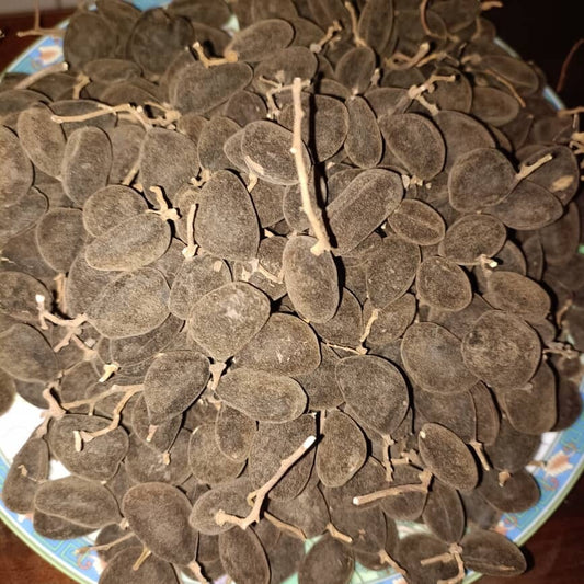 100g African Black Velvet Tamarind | Yooyi | Dialium Guineensis | UK stock
